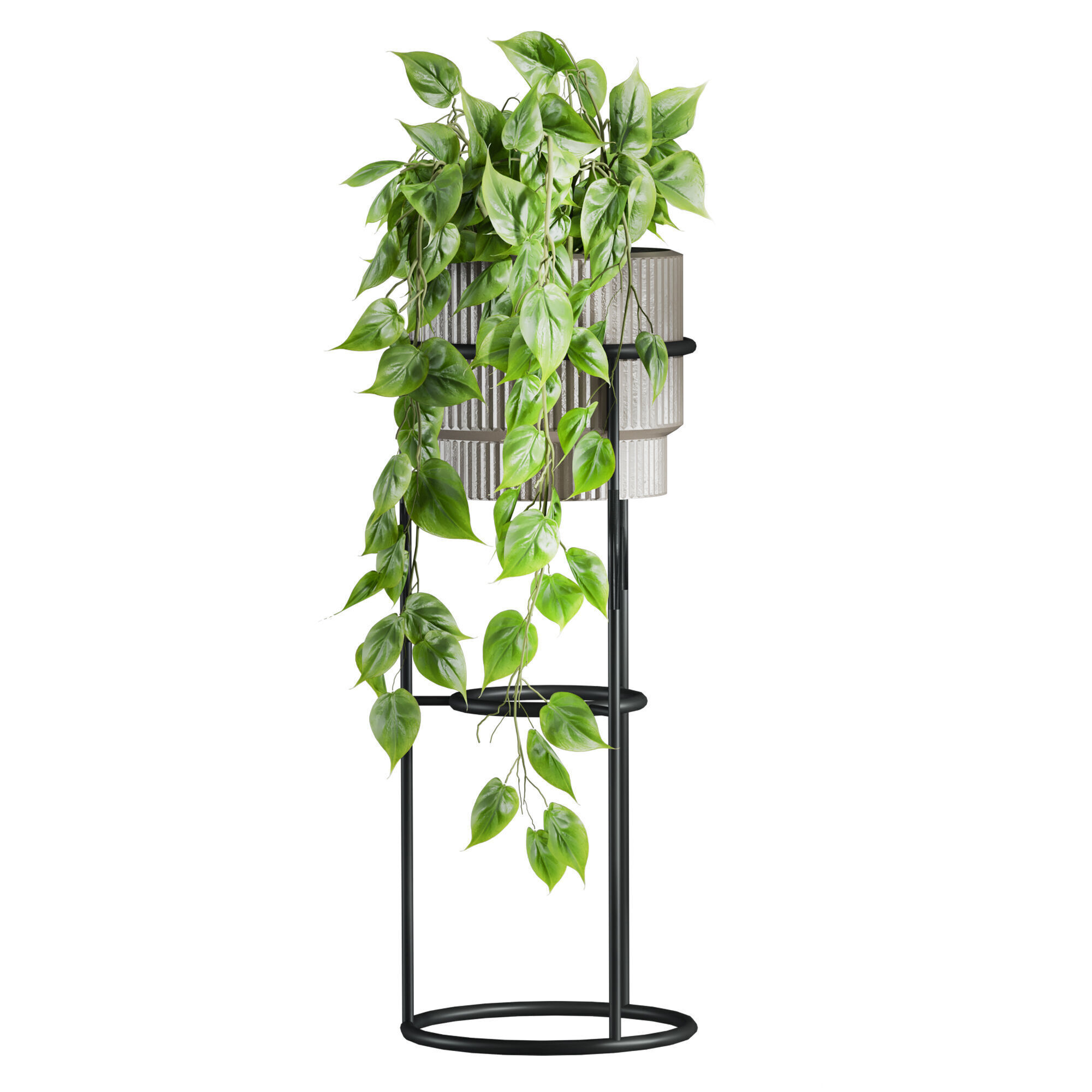 Plants Set 3D model_1