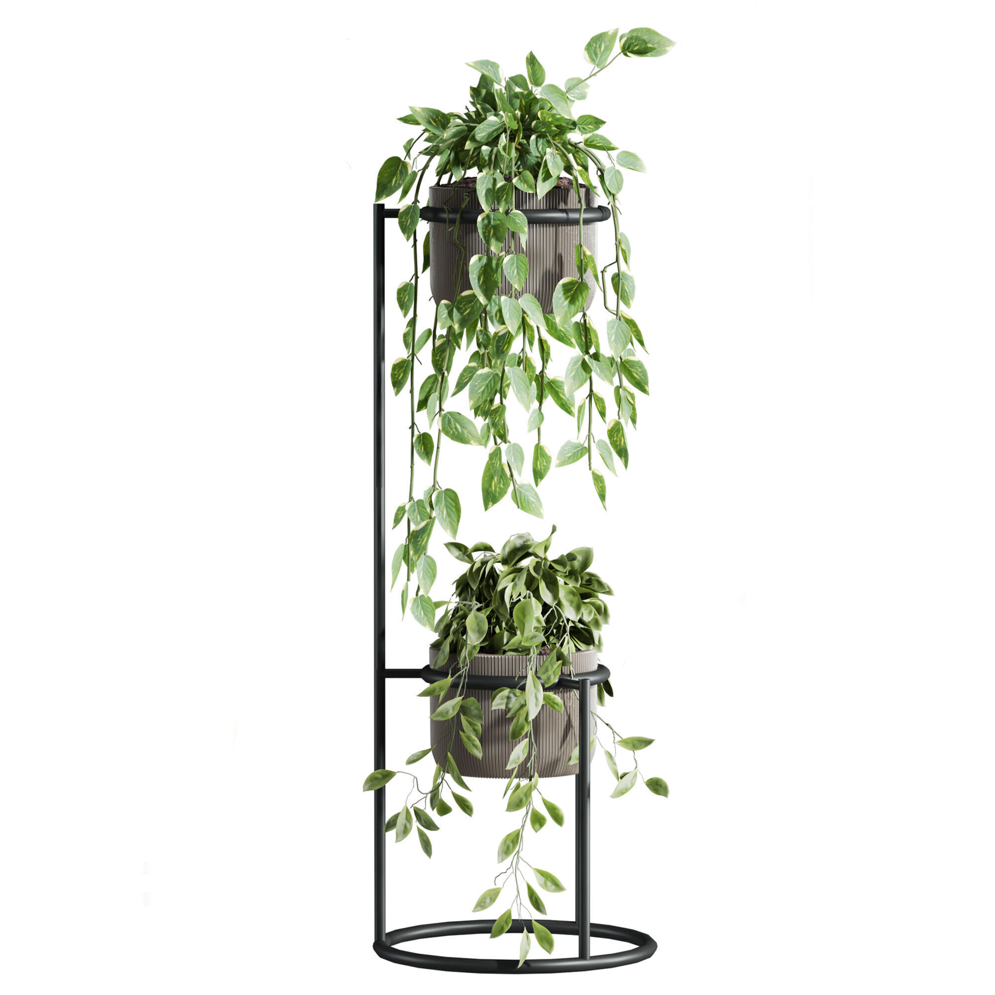 Plants Set 3D model_2