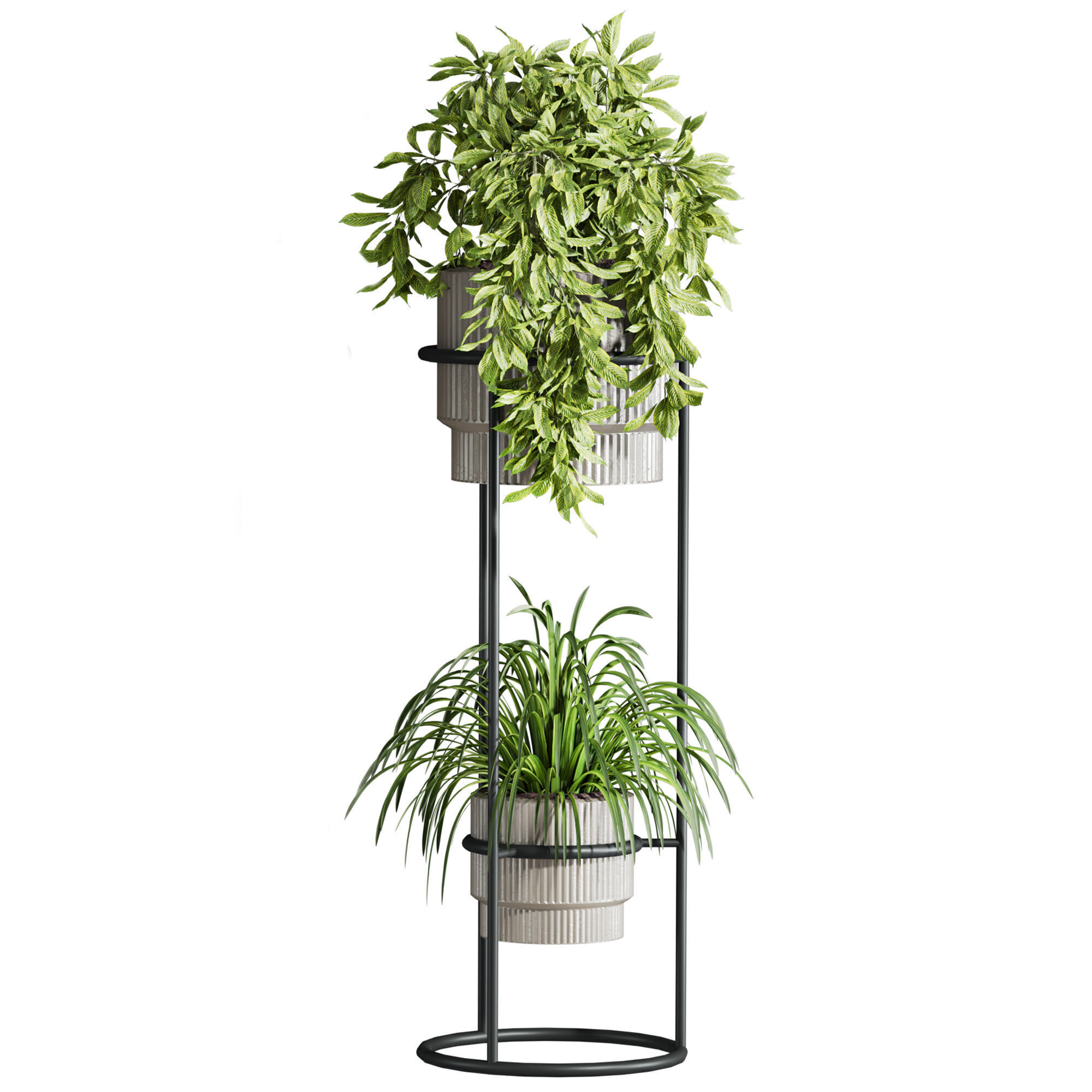 Plants Set 3D model_3