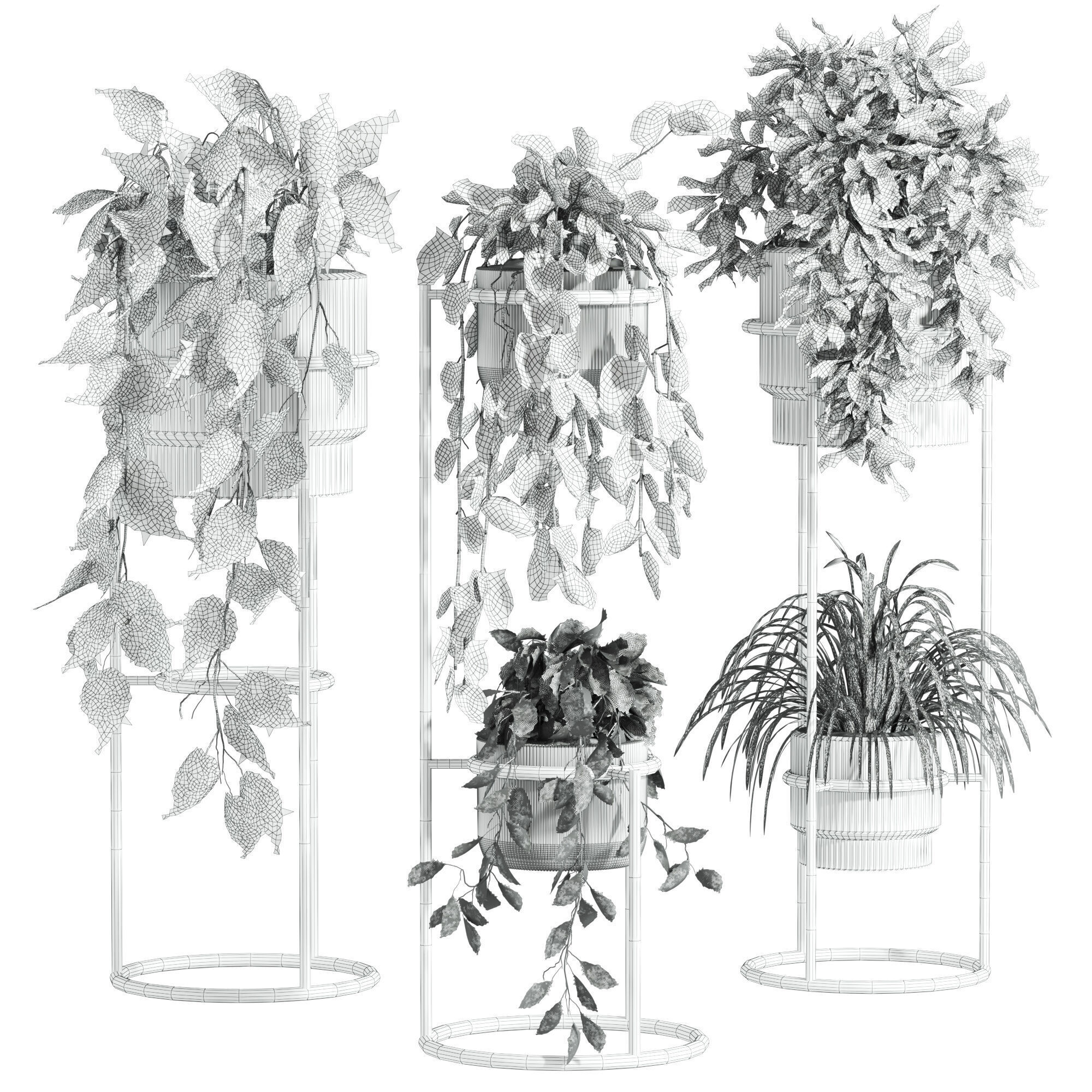 Plants Set 3D model_4