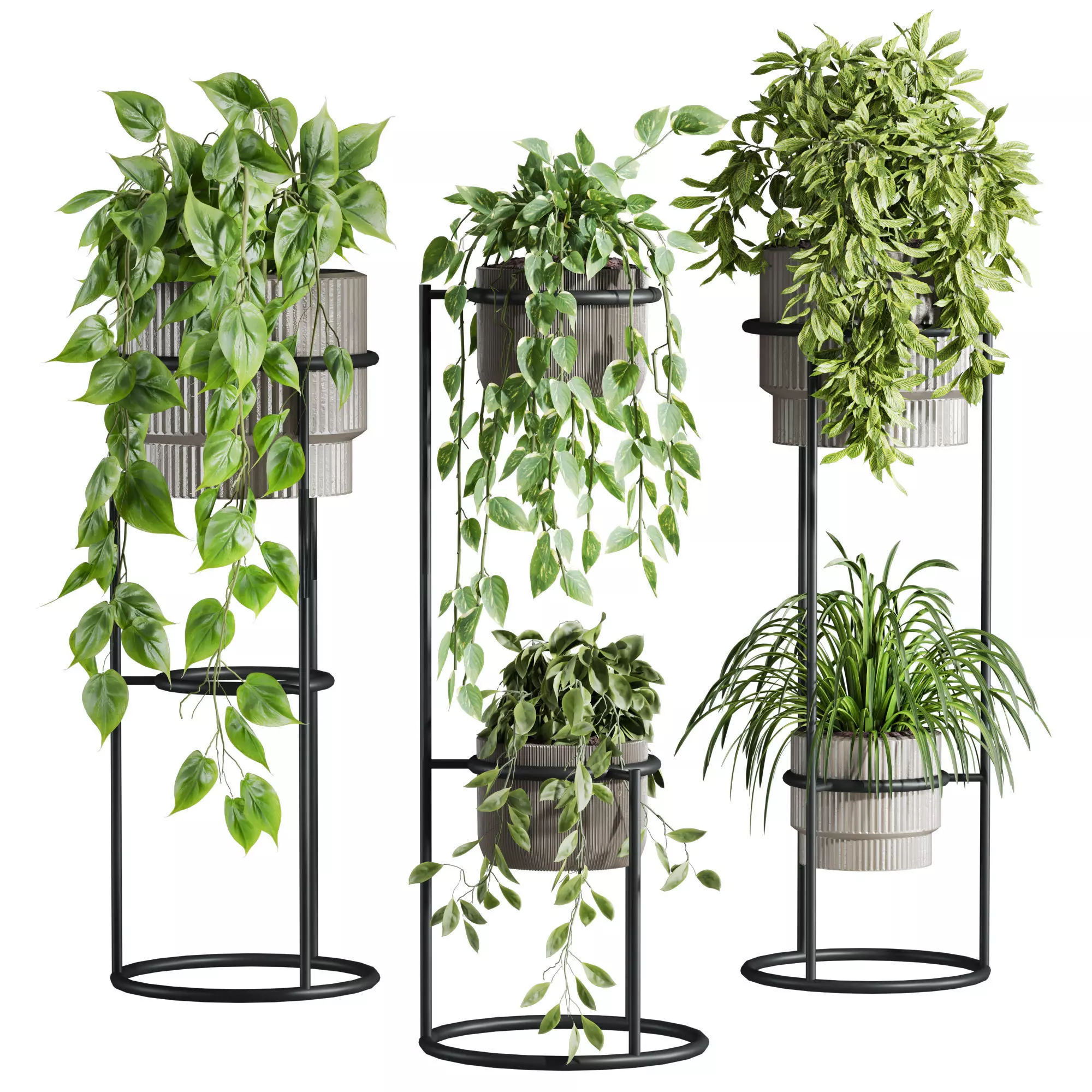 Plants Set 3D model_0