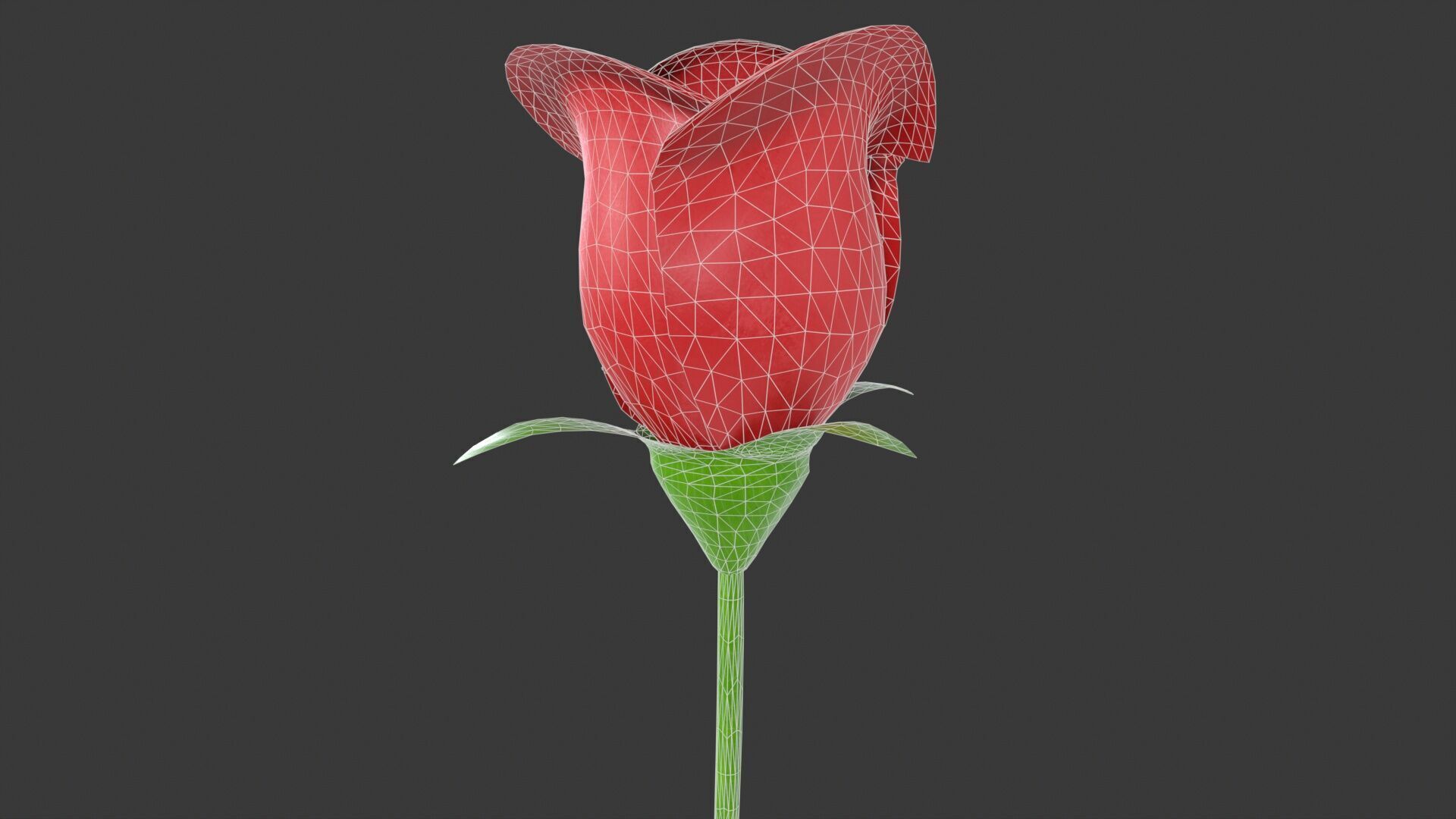 Rose Flower Low-poly 3D model_8