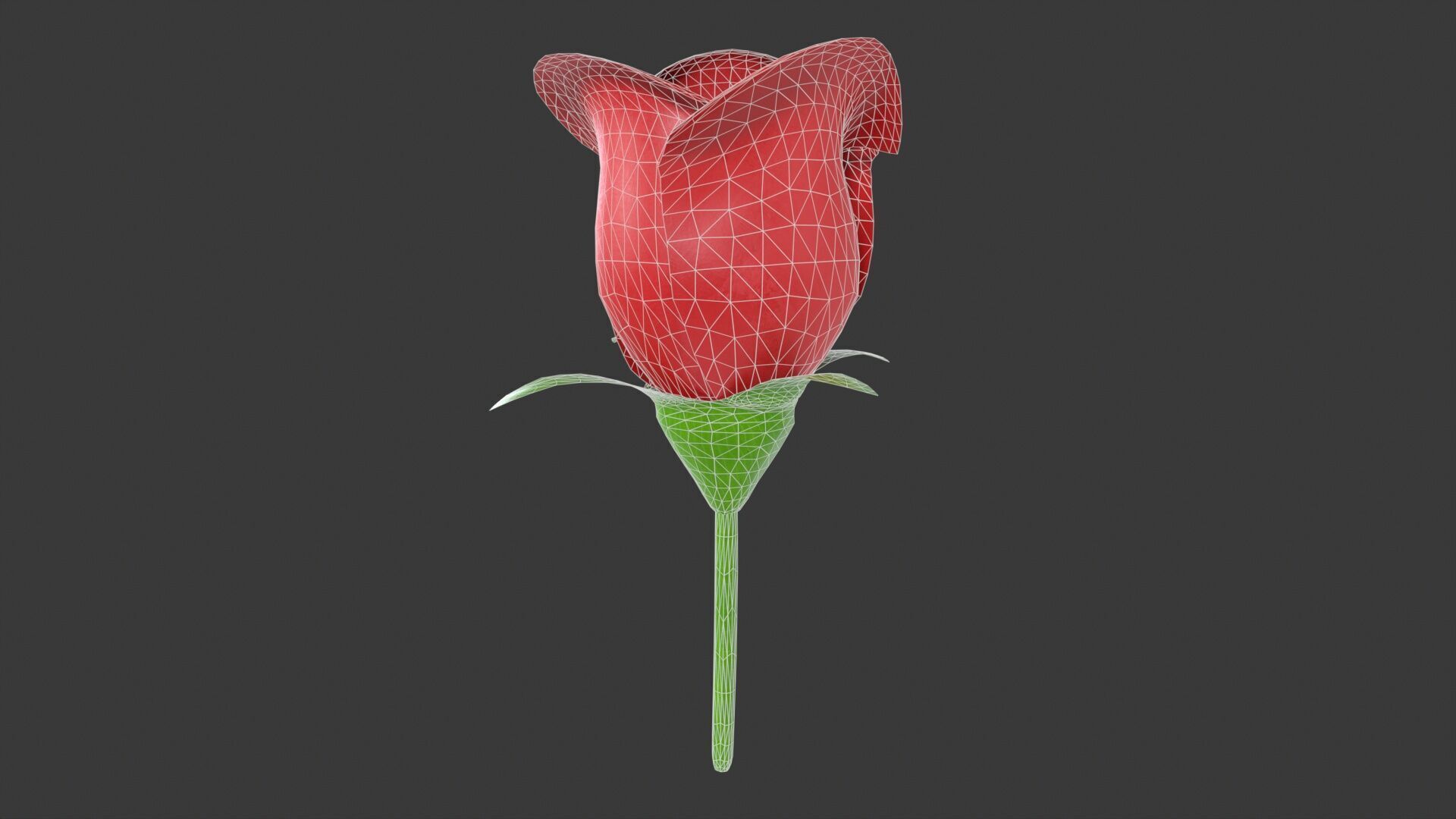 Rose Flower Low-poly 3D model_9