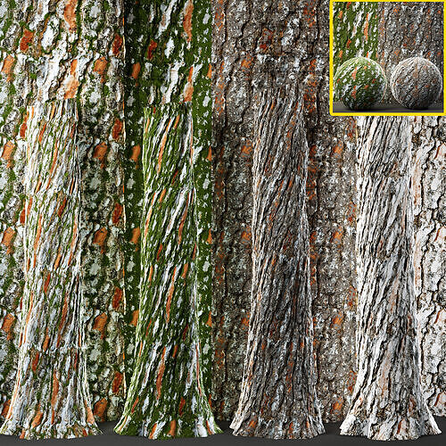 4 Tree bark and trunk vol 2 - 4k - pbr and  tileable Texture