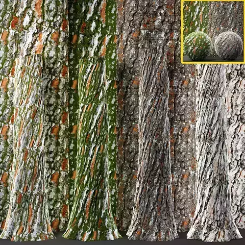 4 Tree bark and trunk vol 2 - 4k - pbr and  tileable