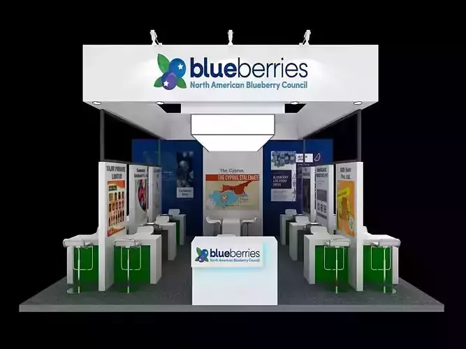 6 mtr x 5 mtr three side open exhibition stands  Nice Look