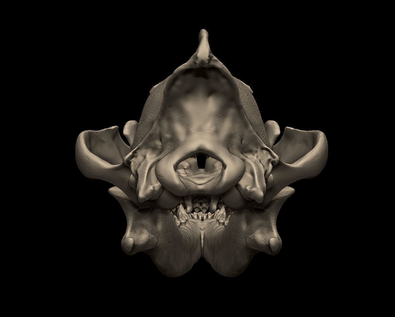 Wolf Skull 3D Print Model 3D print model_7