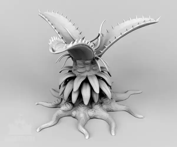 The flycatcher 3D print model