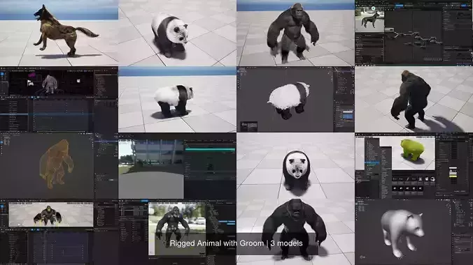 Rigged Animal with Groom 3D Model Collection