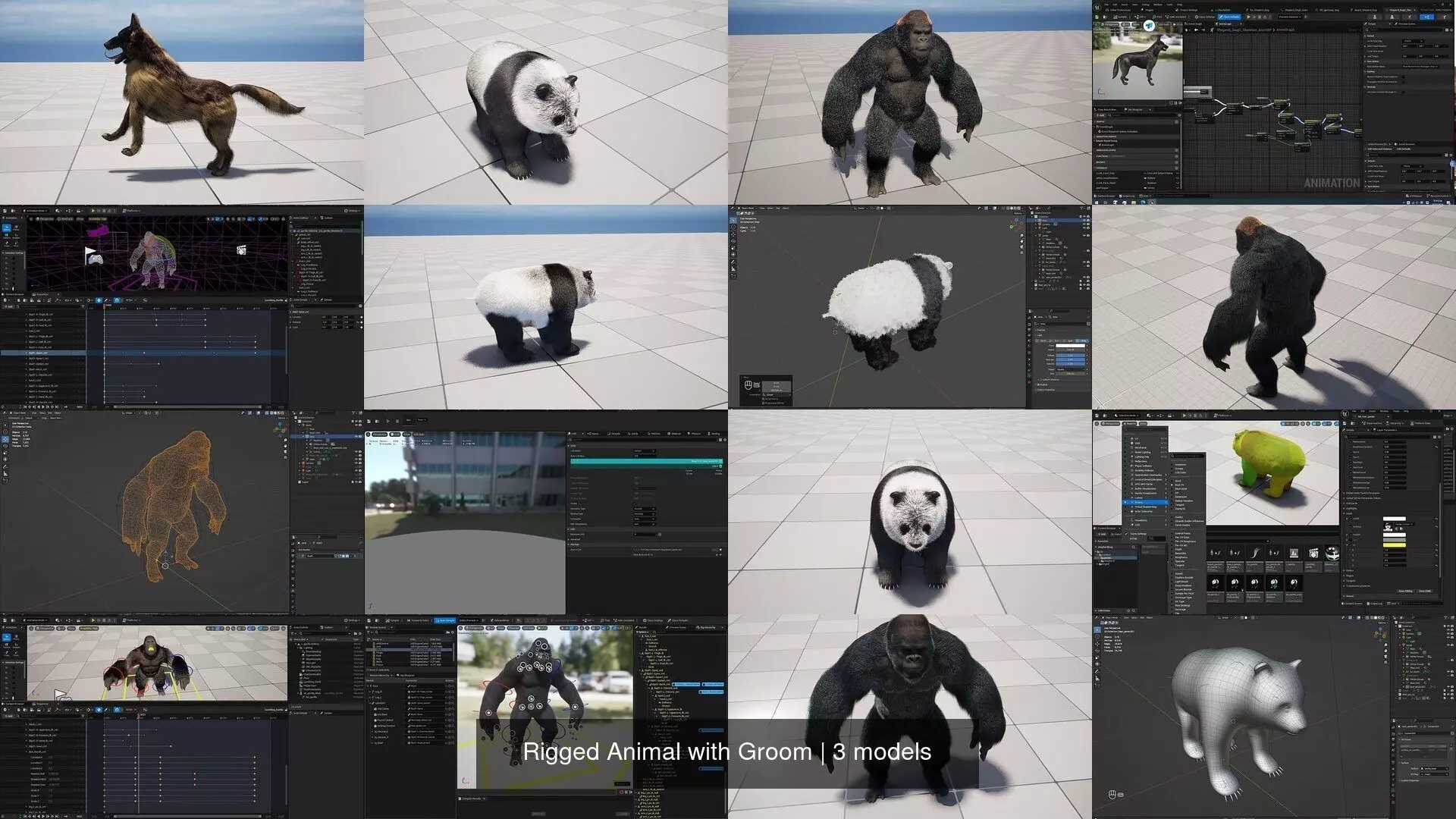 Rigged Animal with Groom 3D Model Collection_0