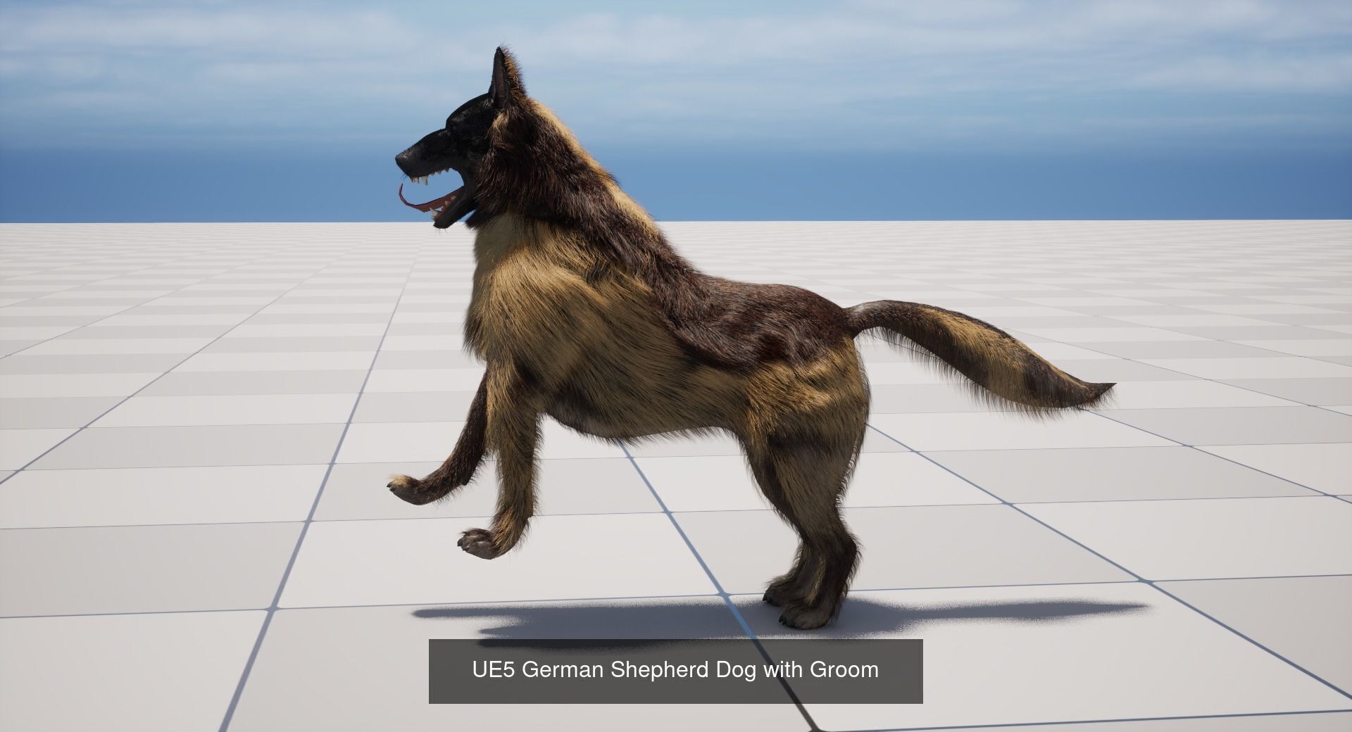 Rigged Animal with Groom 3D Model Collection_4