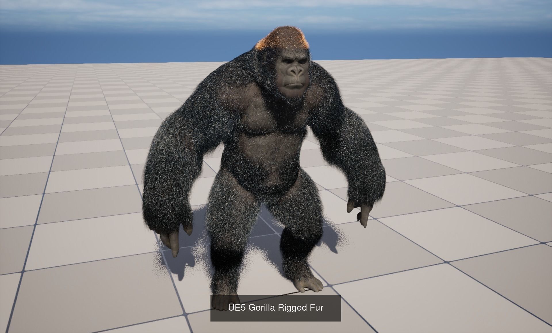 Rigged Animal with Groom 3D Model Collection_6