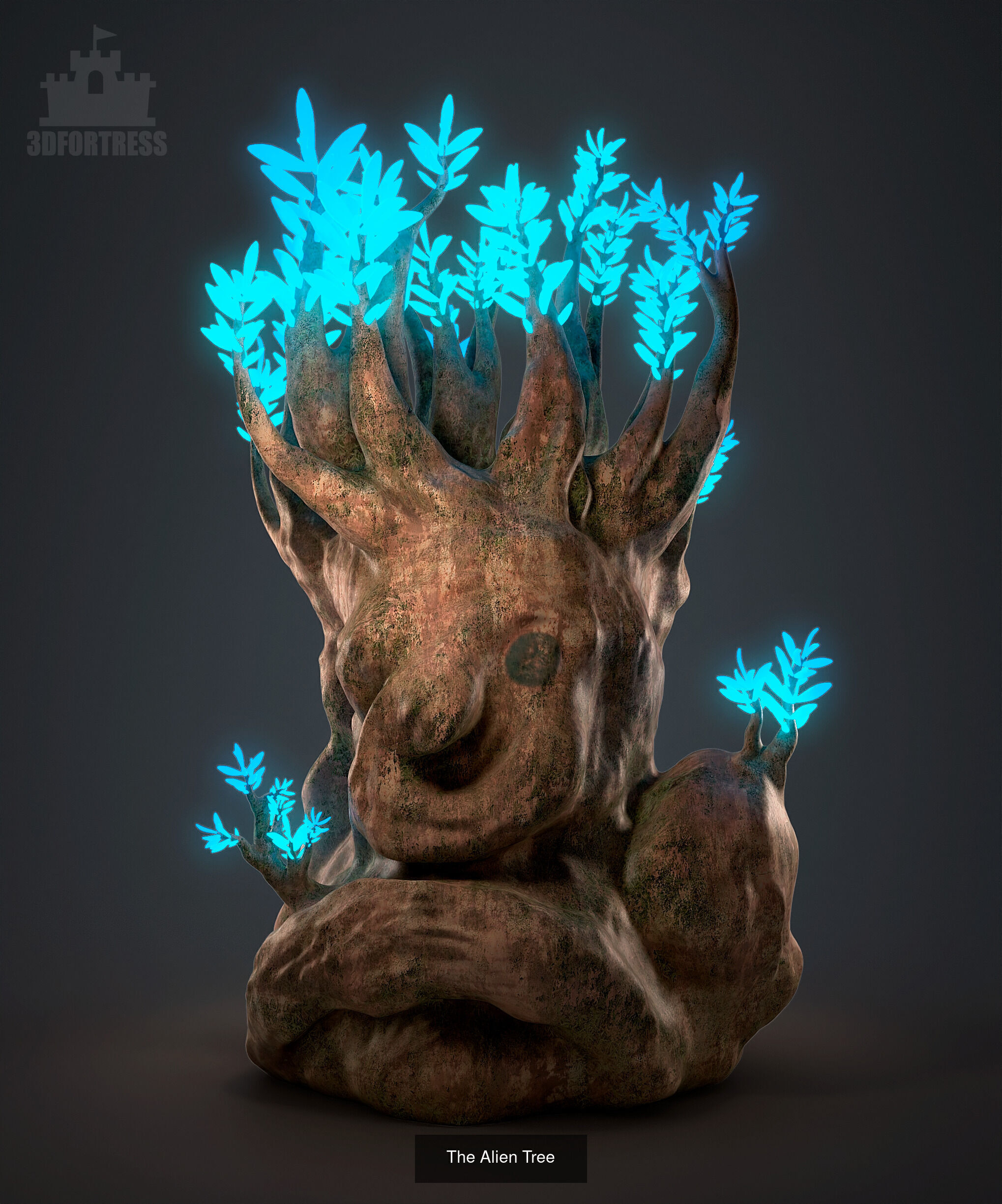 Distant World 3D Model Collection_3