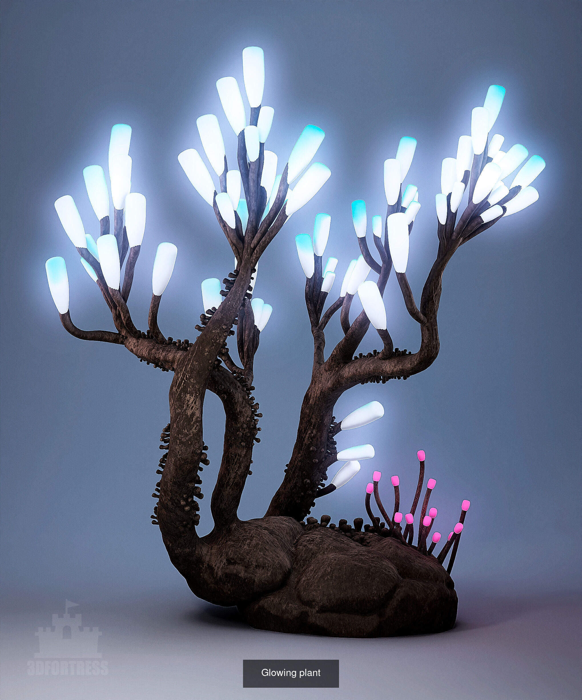 Distant World 3D Model Collection_5