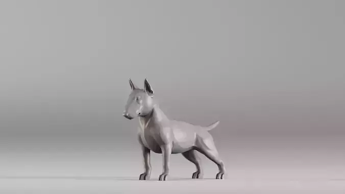 001588 Bull Terrier Dog