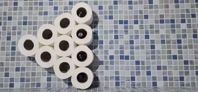 Toilet Paper Holder 