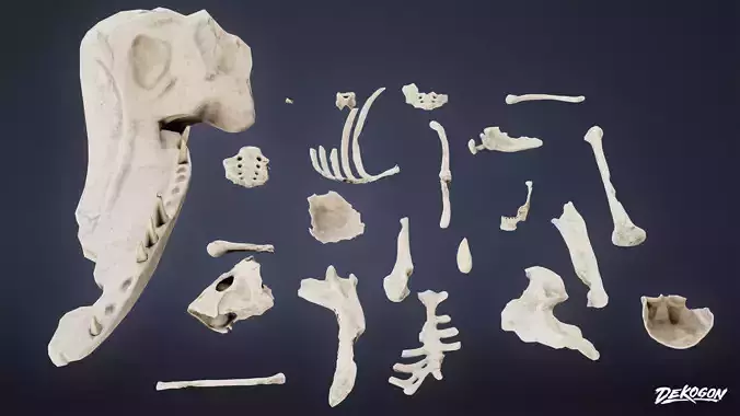 BONES - Bone Fragments 01 - LOW POLY AND NANITE