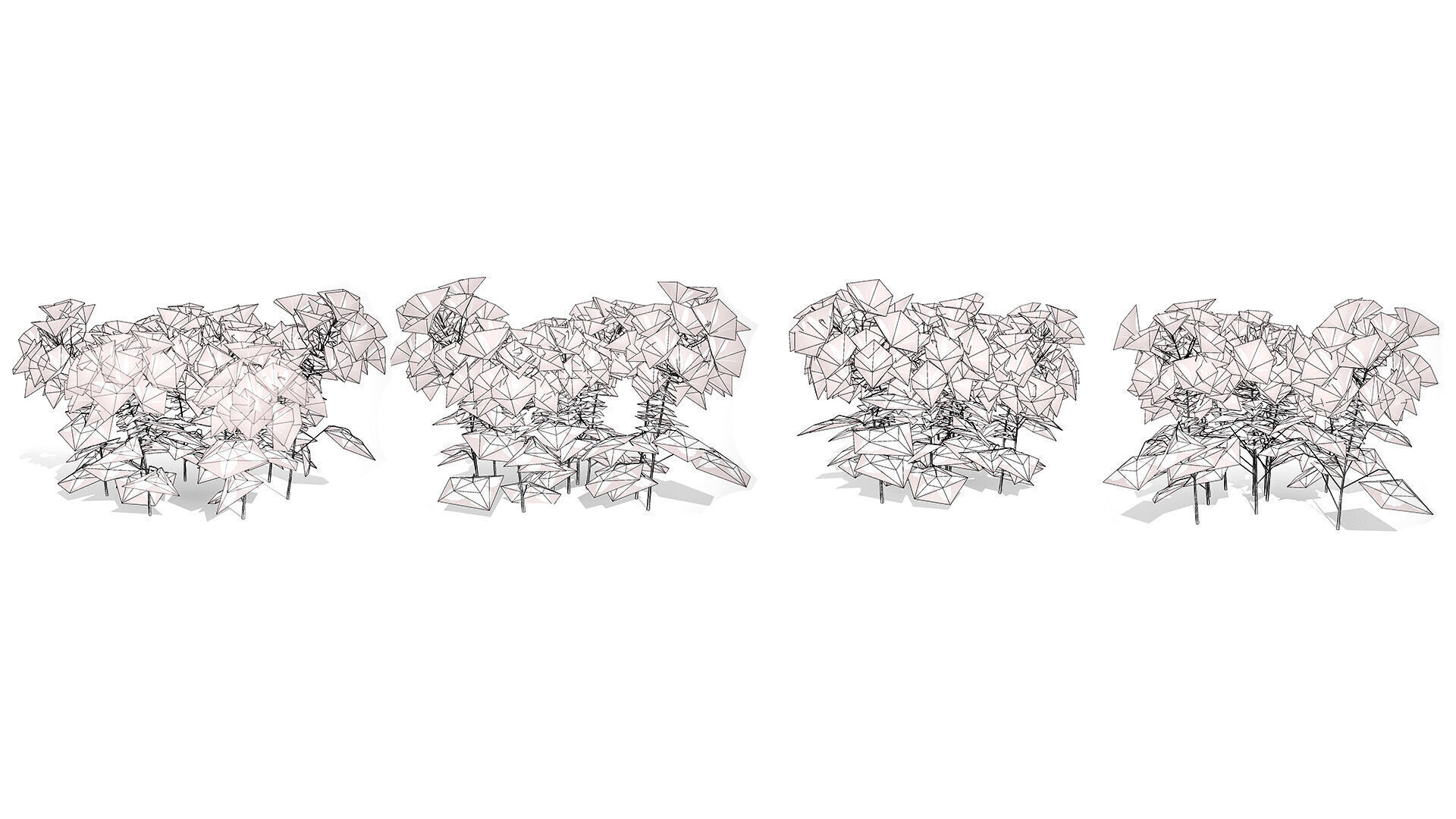 Australian Spider Flower Bush Low-poly 3D model_13