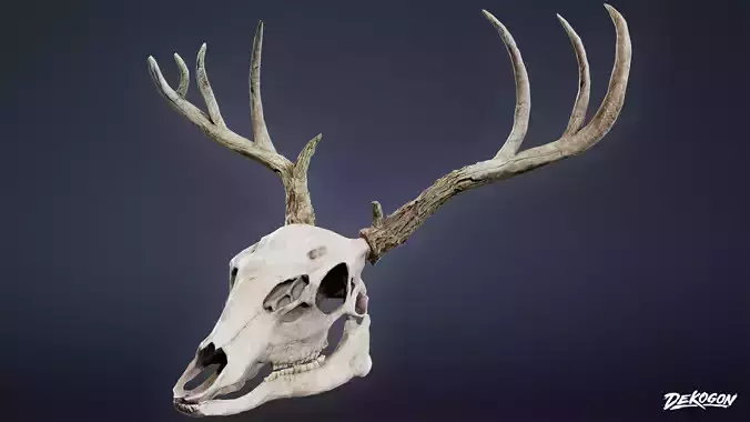 BONES - Deer Skull 01 - NANITE