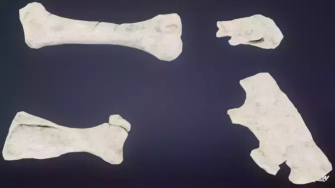 BONES - Large Bones 01 - NANITE