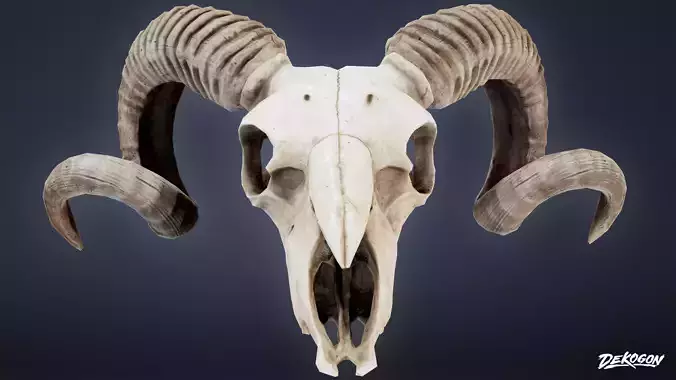 BONES - Ram Skull 01 - NANITE
