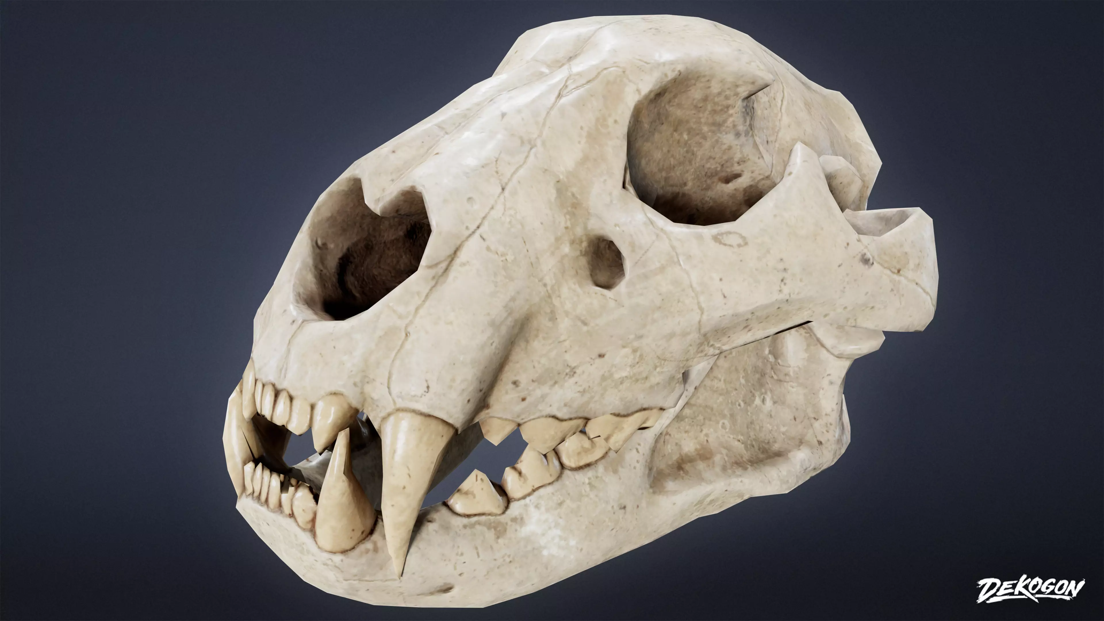 BONES - Lion Skull 01 - NANITE Low-poly 3D model_0