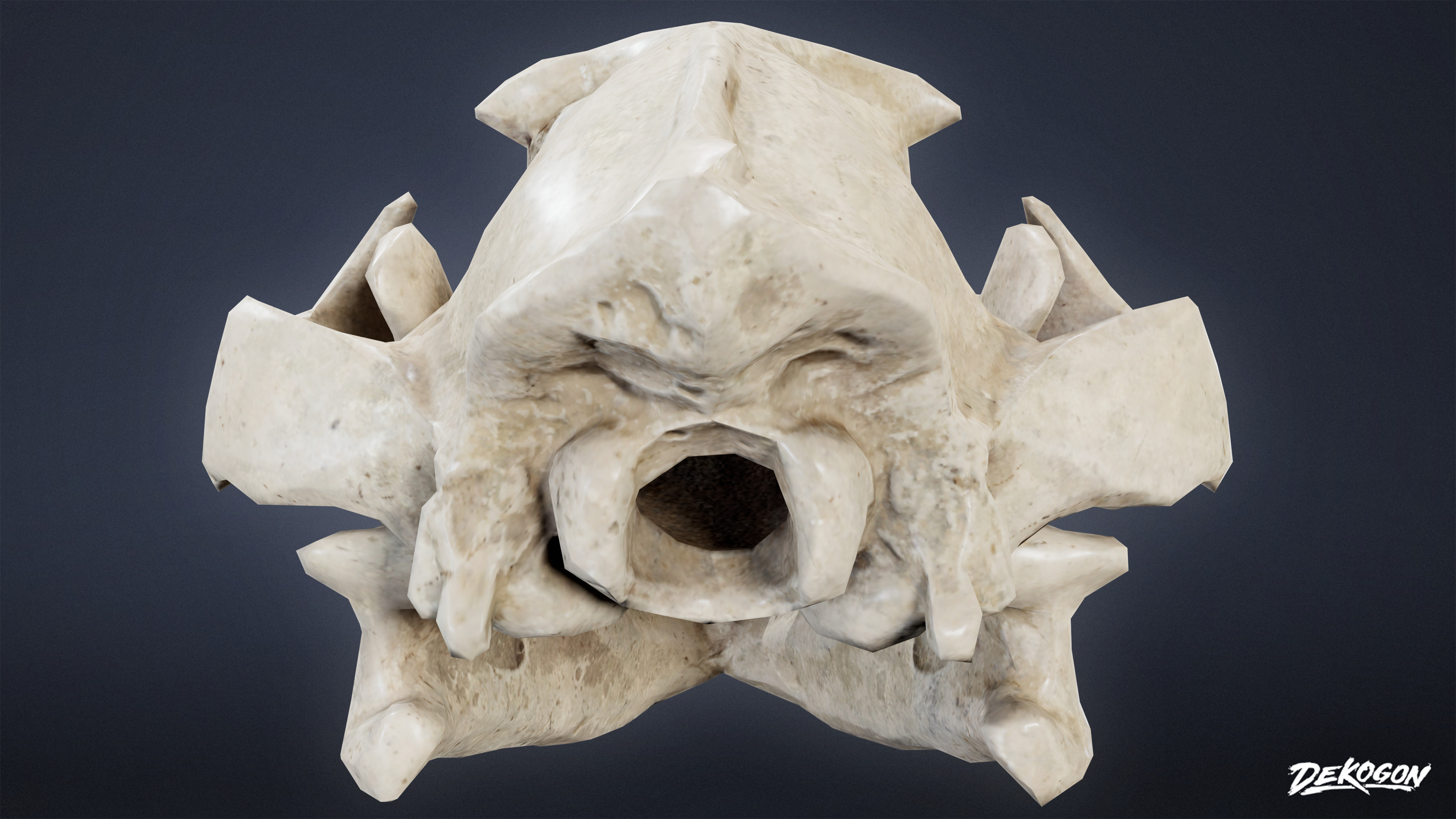 BONES - Lion Skull 01 - NANITE Low-poly 3D model_3