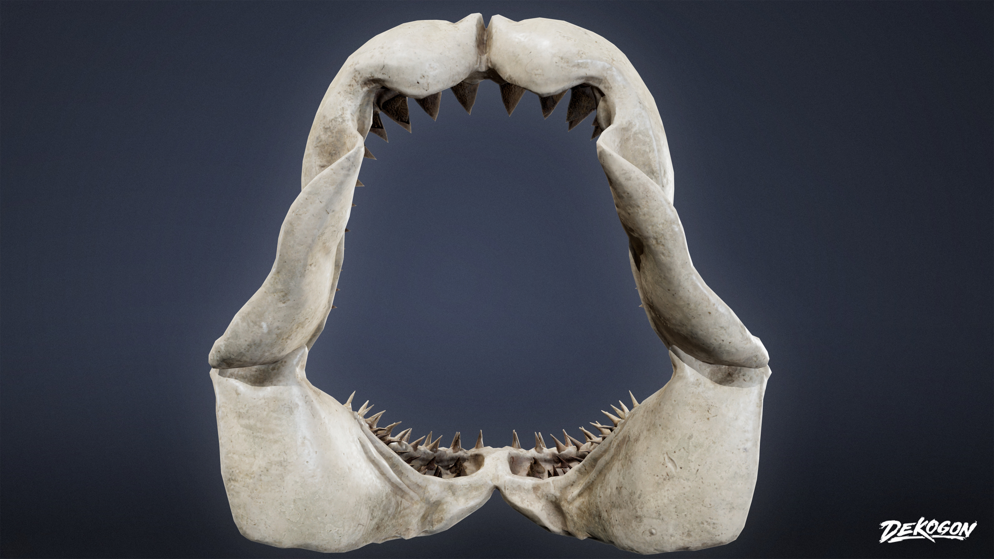 BONES - Shark Jaw 01 - NANITE Low-poly 3D model_3