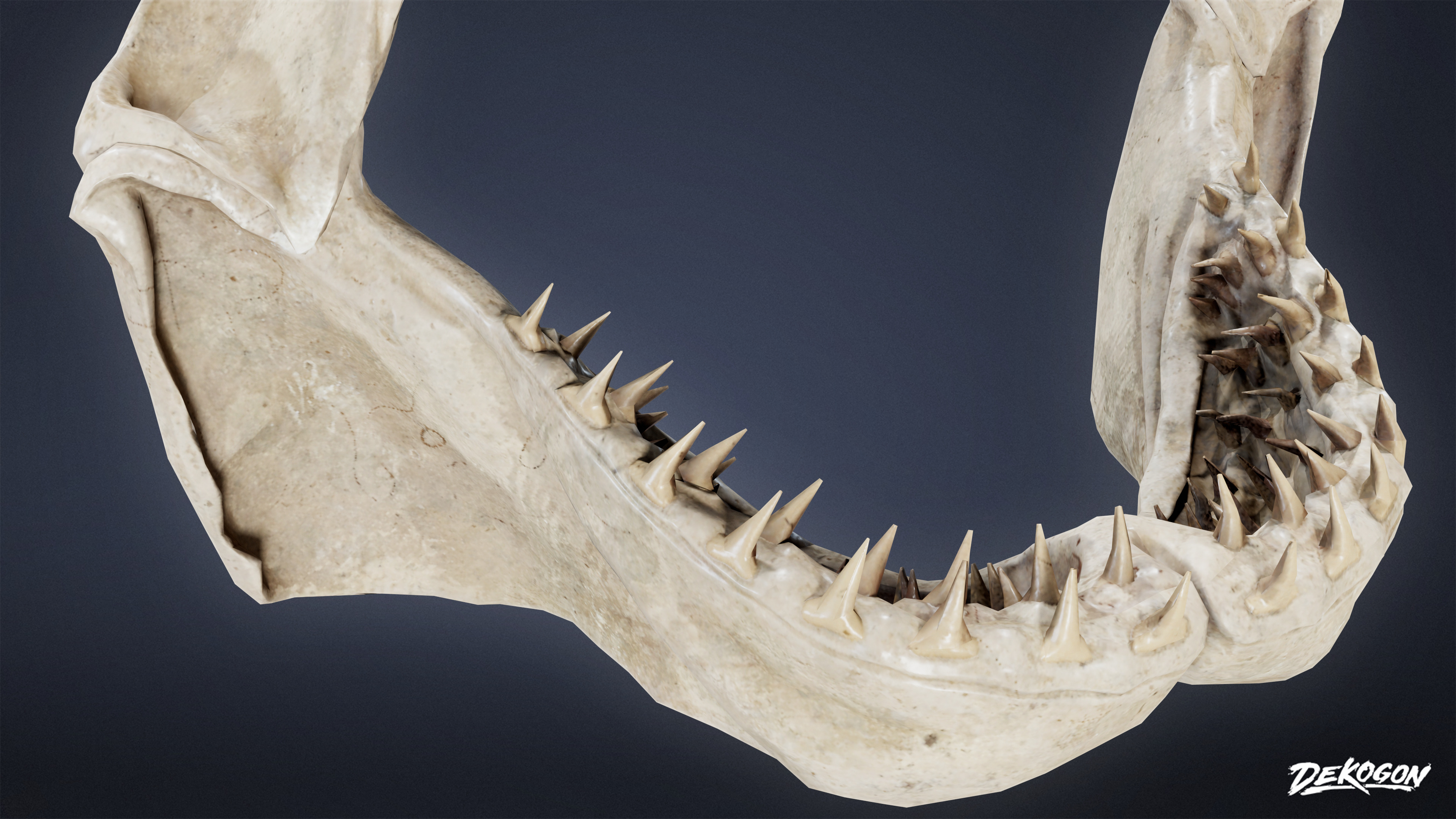 BONES - Shark Jaw 01 - NANITE Low-poly 3D model_5