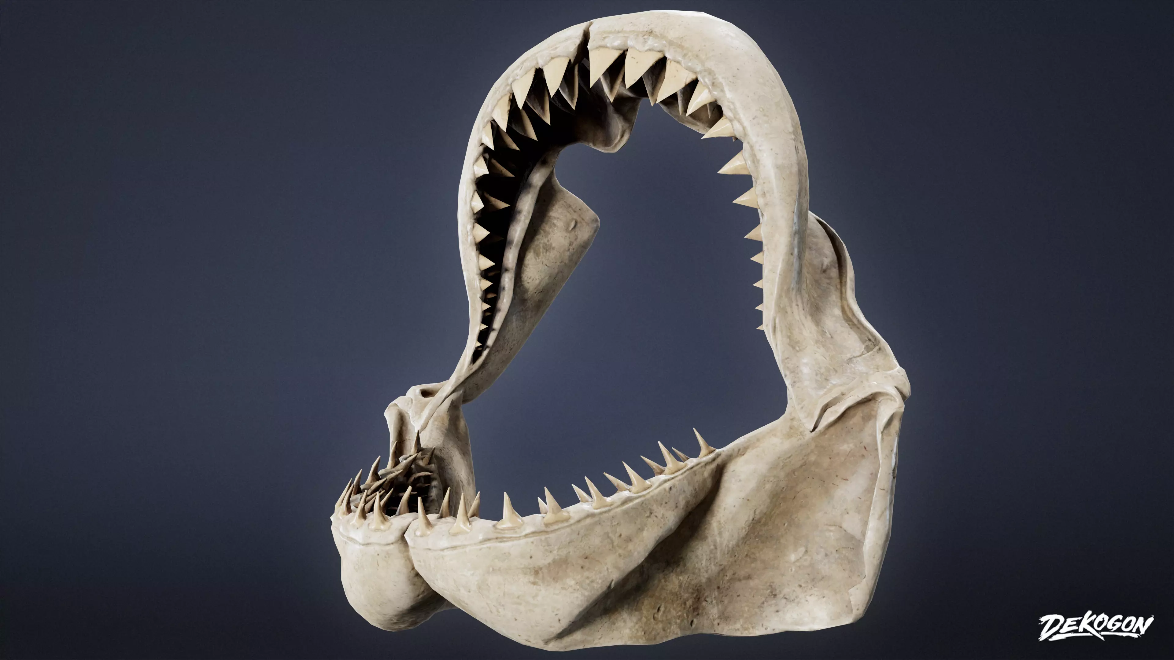 BONES - Shark Jaw 01 - NANITE Low-poly 3D model_0