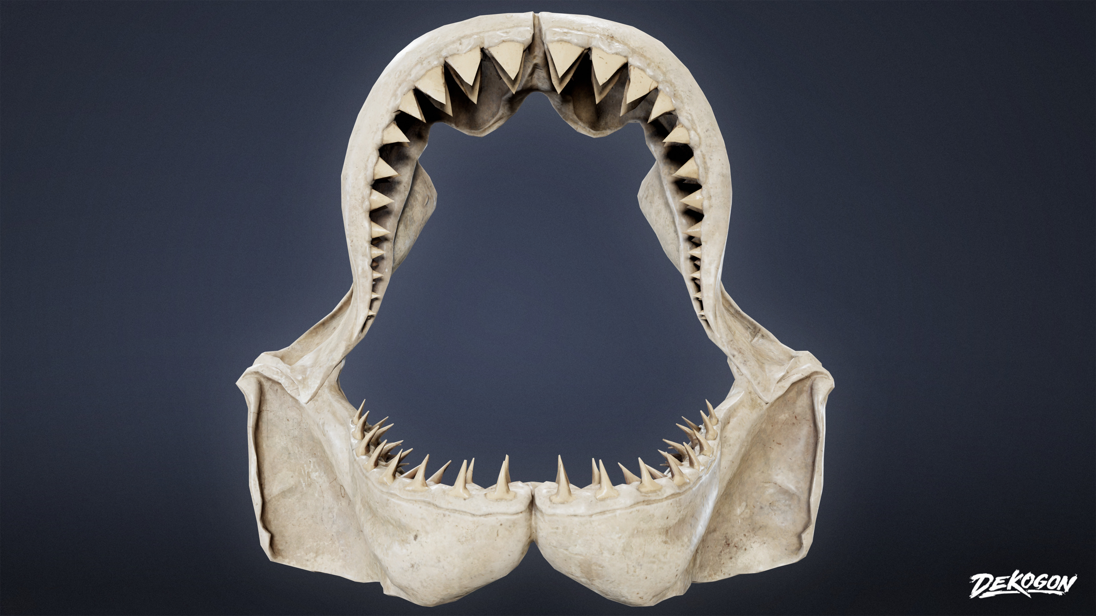 BONES - Shark Jaw 01 - NANITE Low-poly 3D model_1
