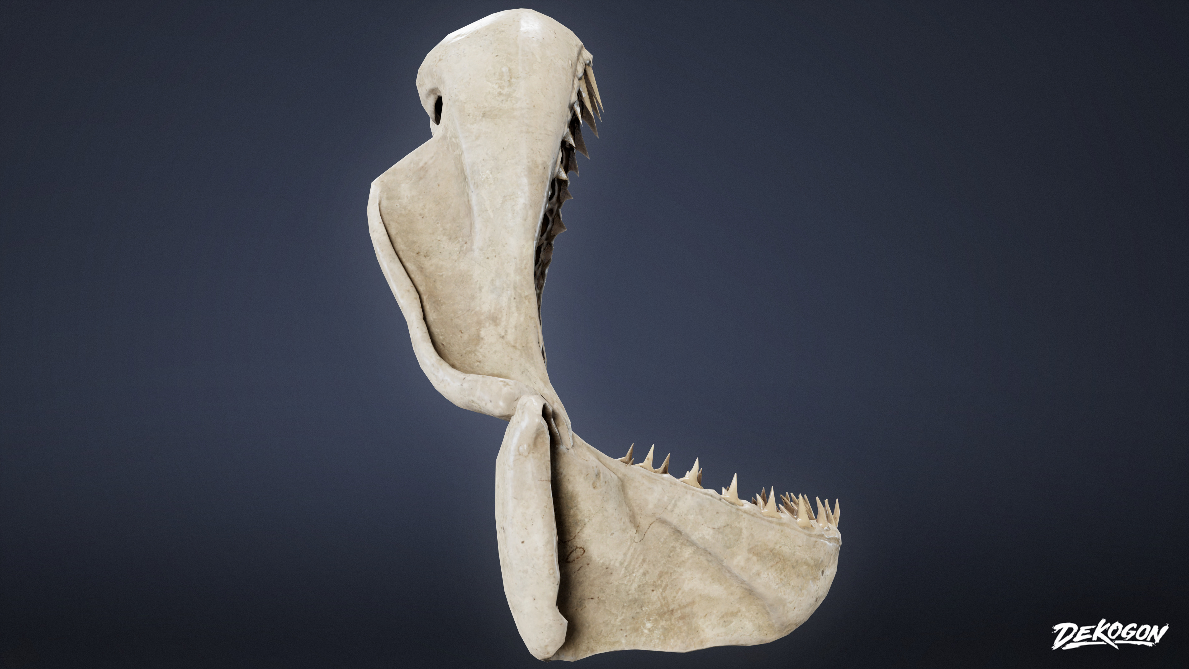 BONES - Shark Jaw 01 - NANITE Low-poly 3D model_2
