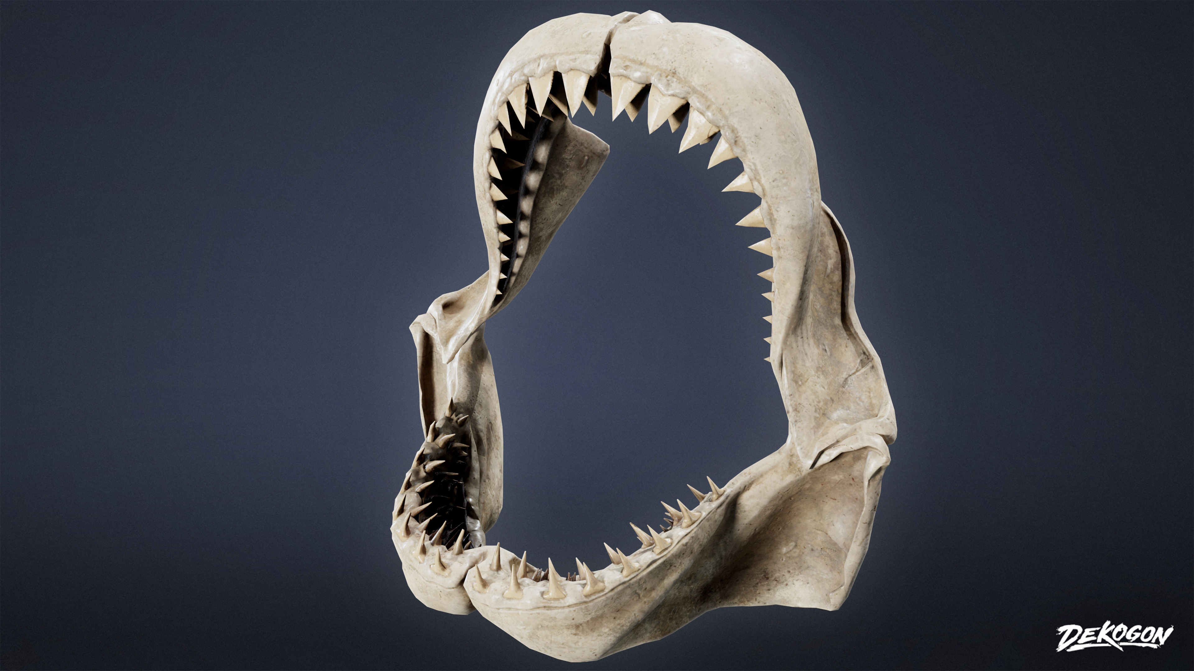 BONES - Shark Jaw 01 - NANITE Low-poly 3D model_4