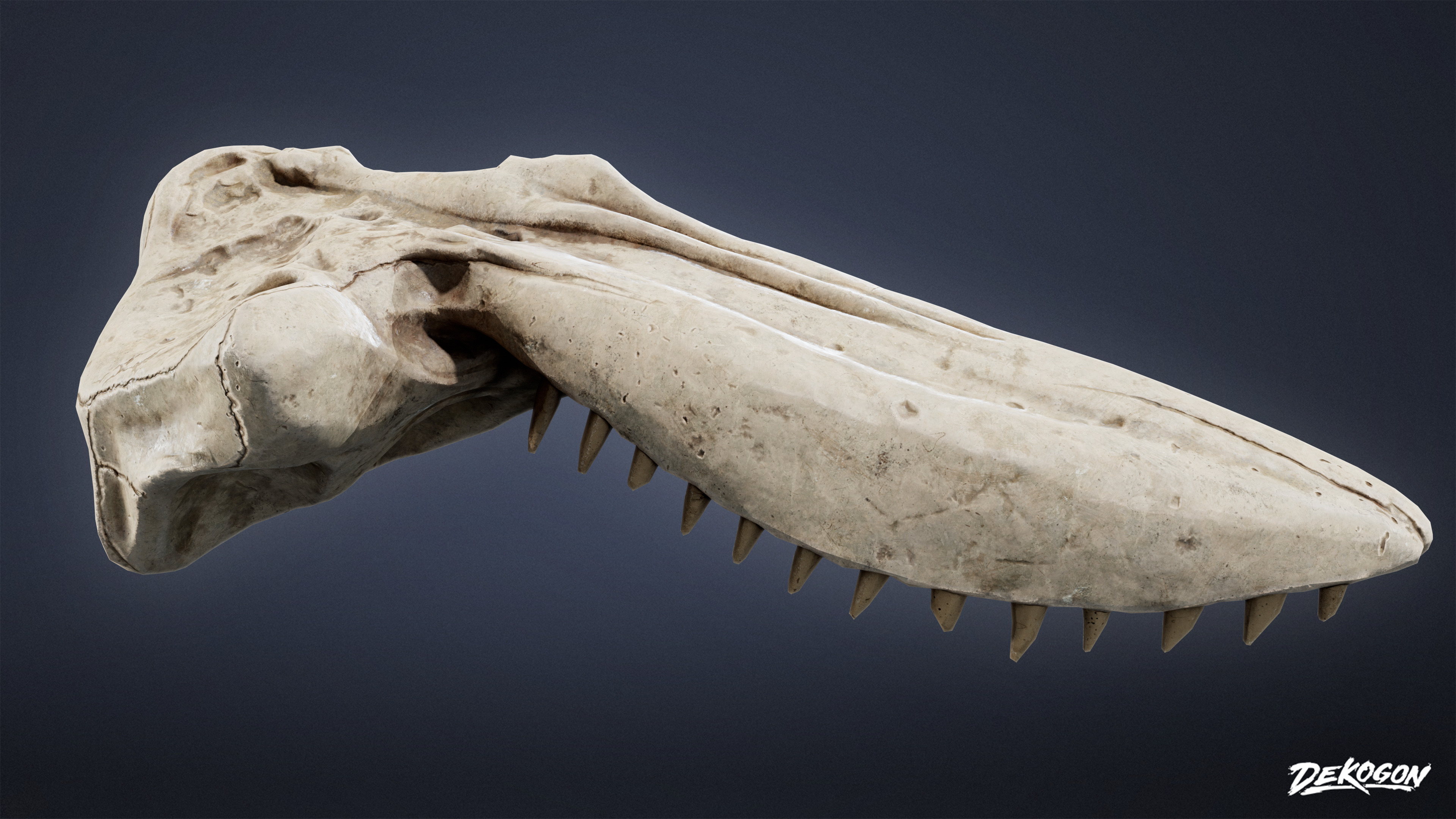 BONES - Whale Bones 01 - NANITE Low-poly 3D model_3