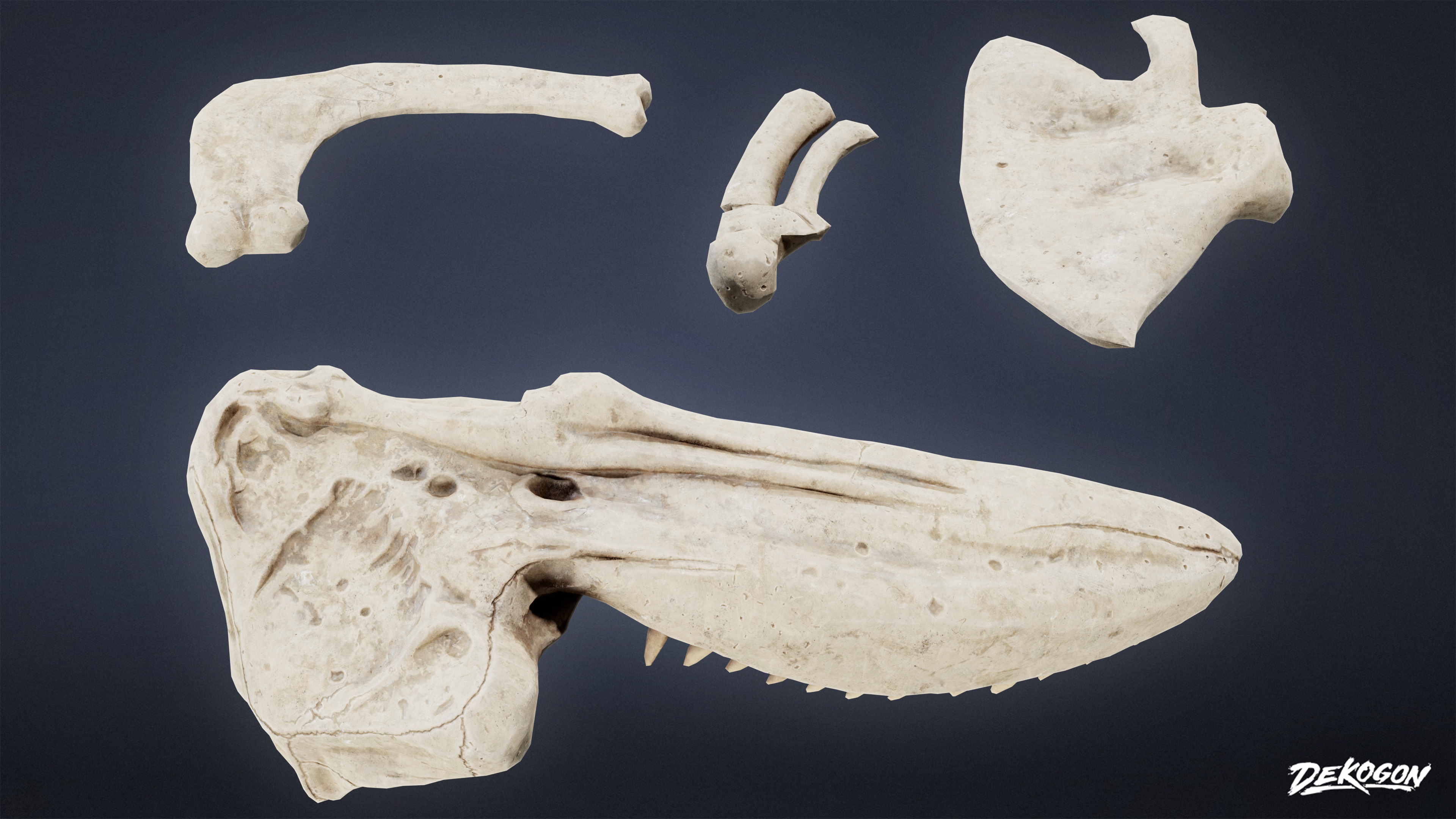 BONES - Whale Bones 01 - NANITE Low-poly 3D model_5