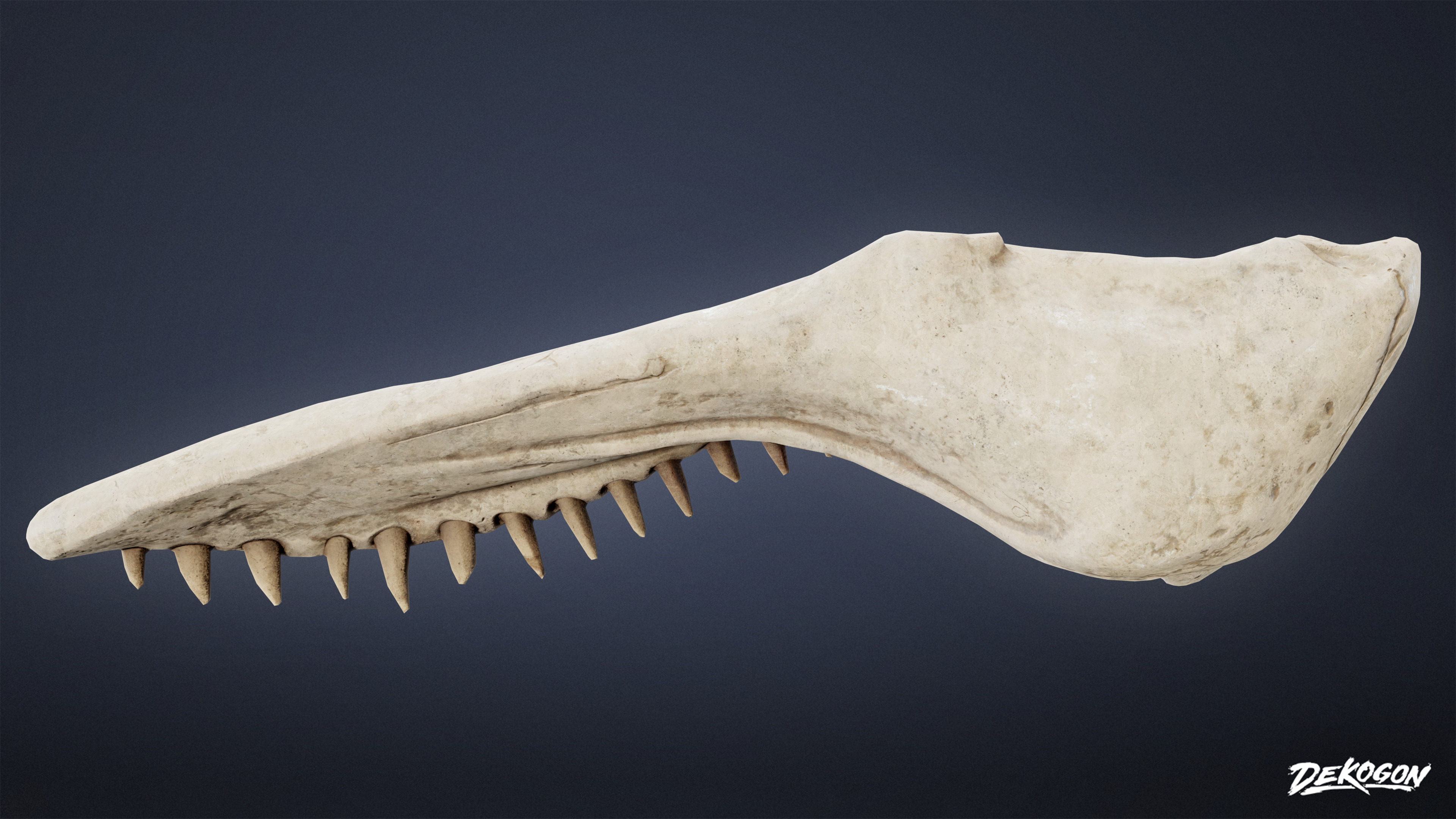 BONES - Whale Bones 01 - NANITE Low-poly 3D model_4