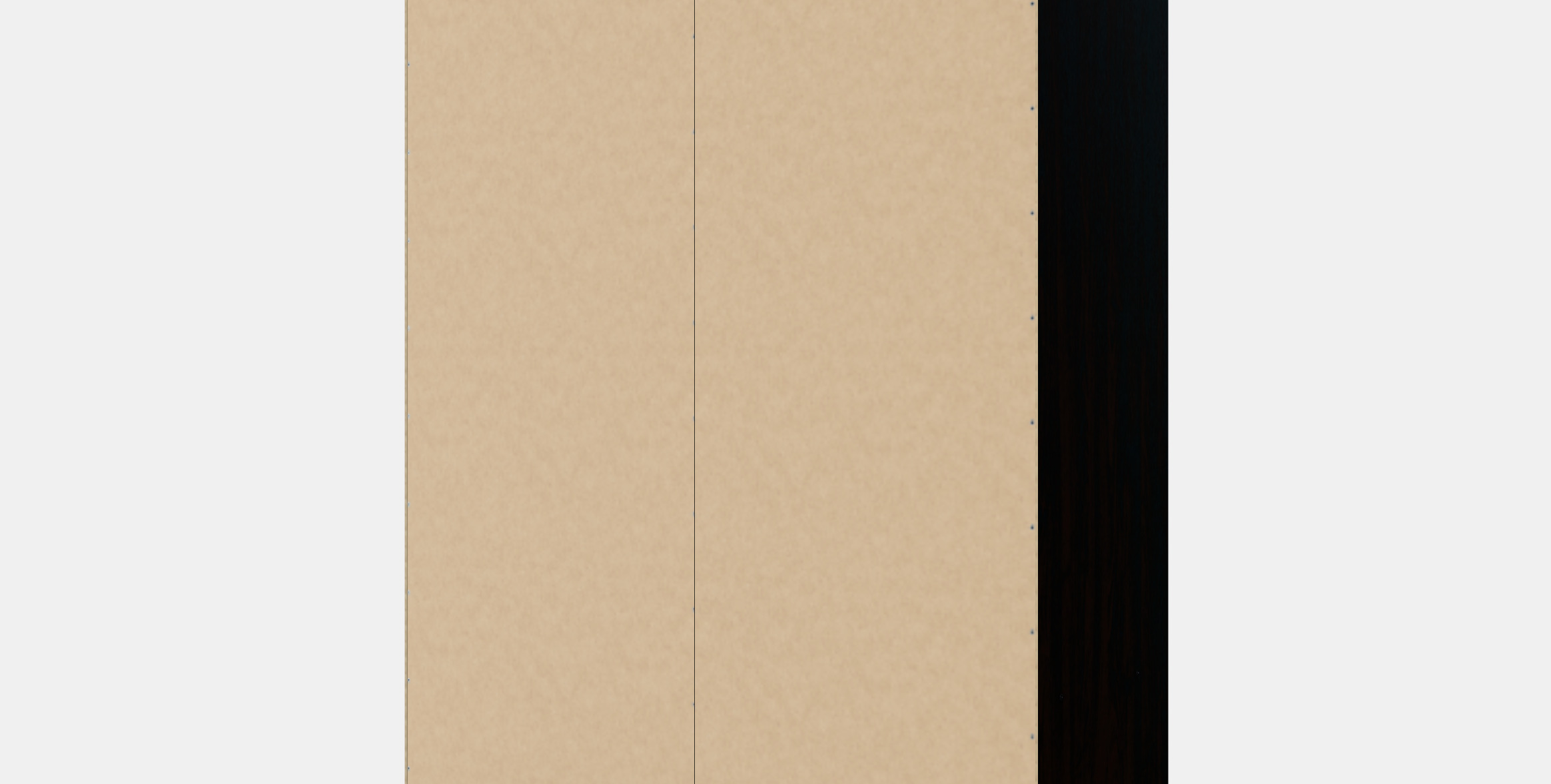 RAKKESTAD Wardrobe with sliding doors 3D model_9