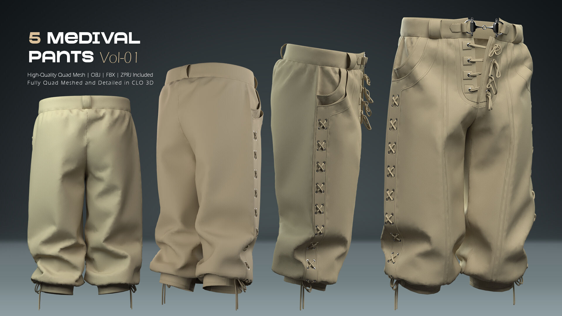 Medival Pants 03  3D model_4