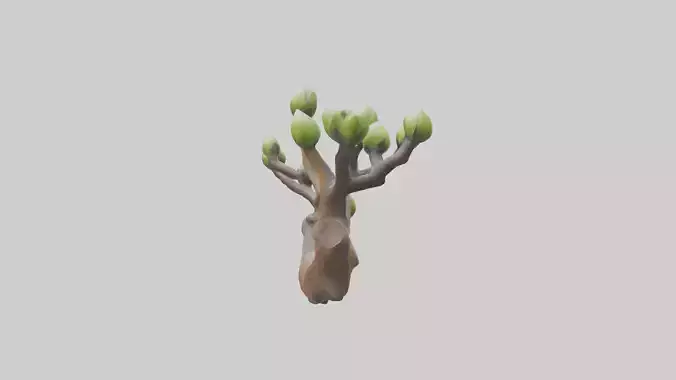 Budding Branch Sculpture model