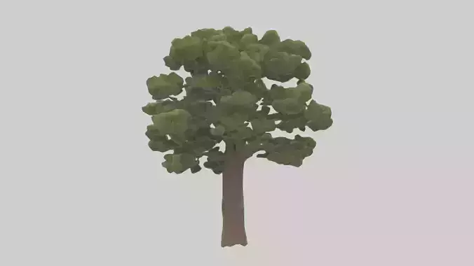 Buckeye tree model