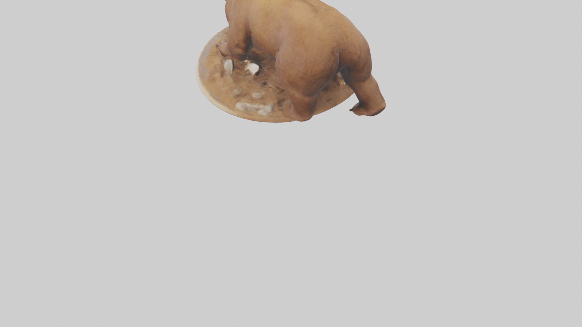 Brown Bear digging model Low-poly 3D model_3