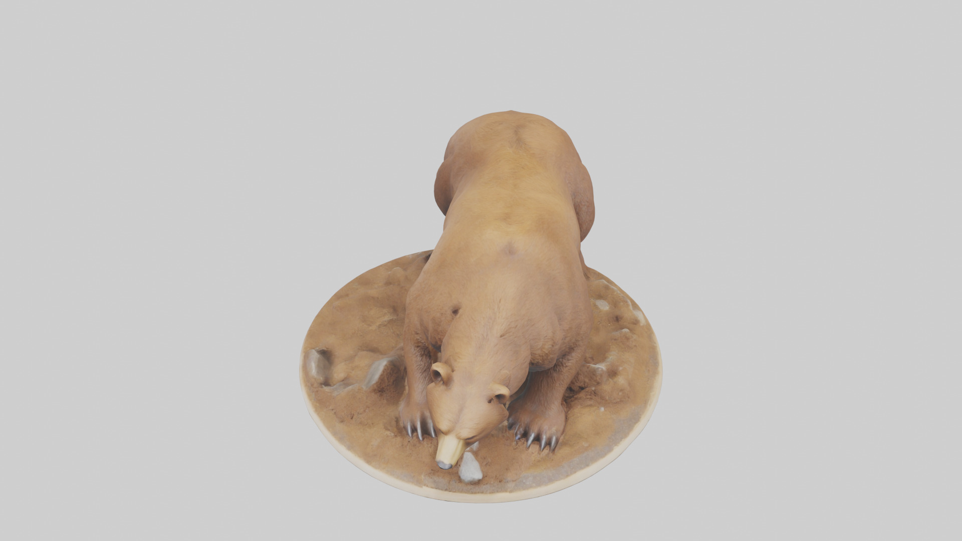 Brown Bear digging model Low-poly 3D model_16