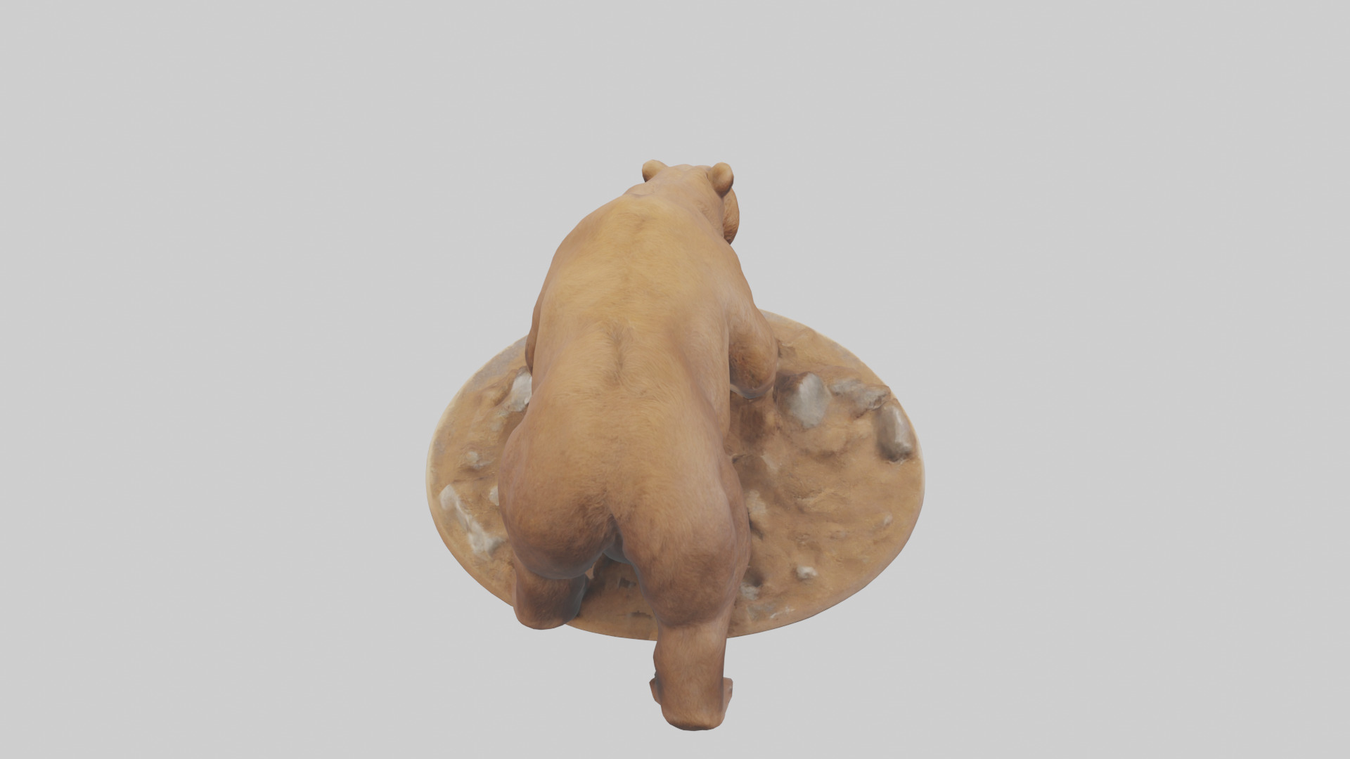 Brown Bear digging model Low-poly 3D model_15