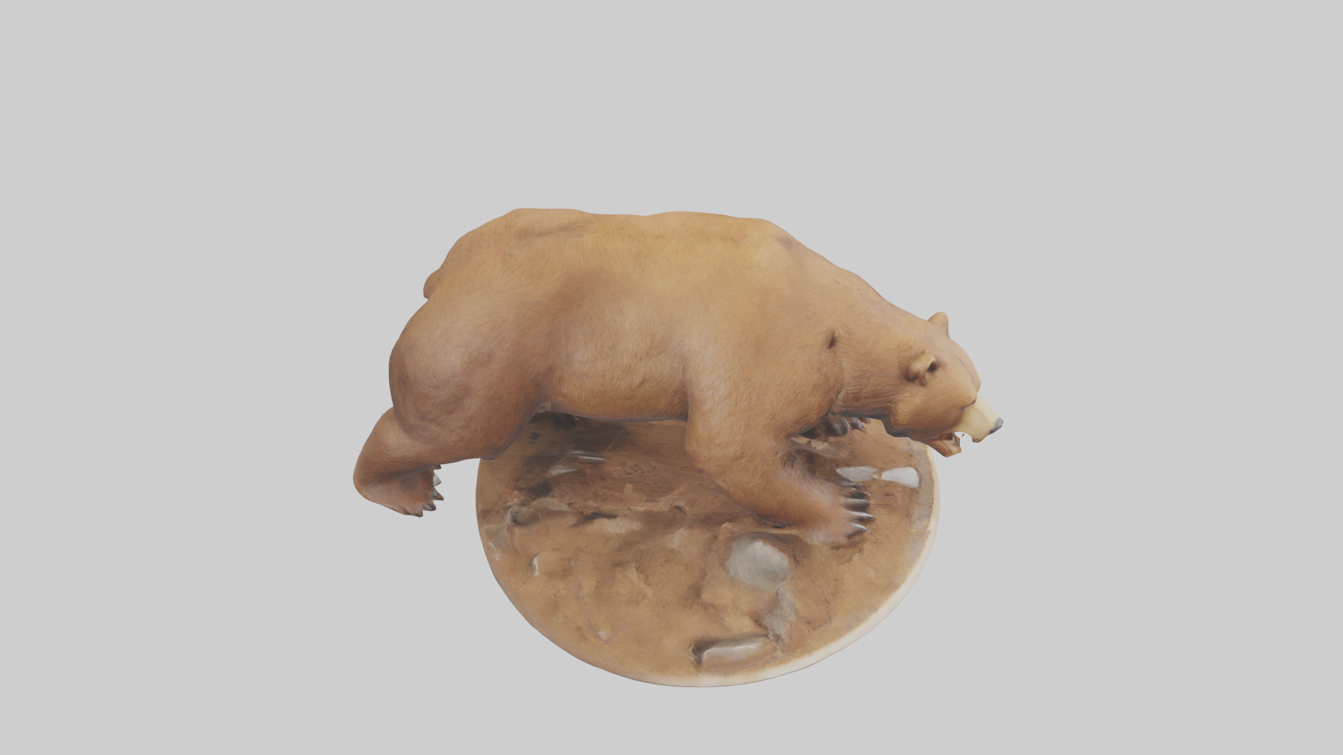 Brown Bear digging model Low-poly 3D model_18