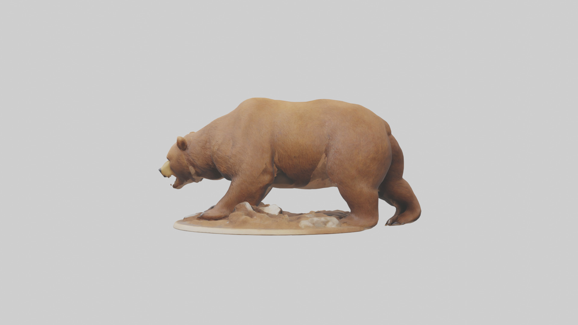 Brown Bear digging model Low-poly 3D model_12