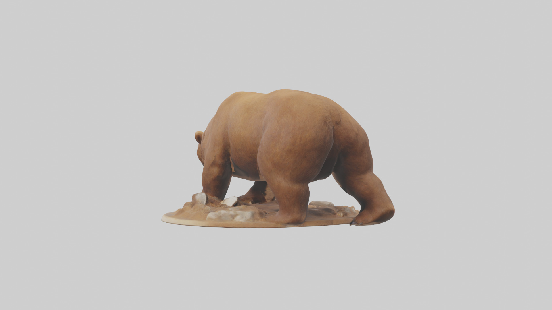 Brown Bear digging model Low-poly 3D model_1