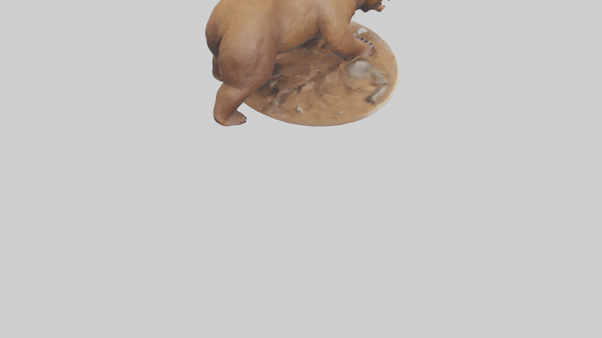 Brown Bear digging model Low-poly 3D model_4
