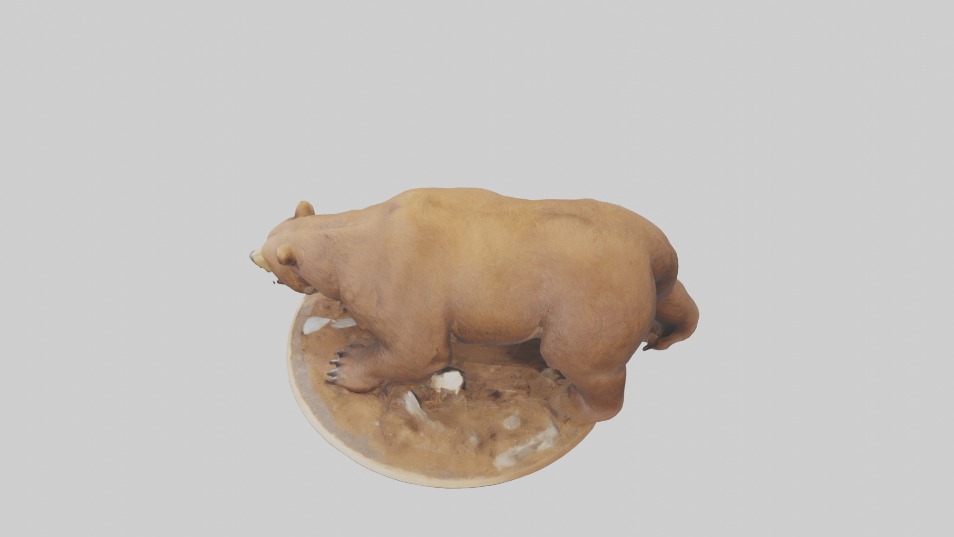 Brown Bear digging model Low-poly 3D model_17