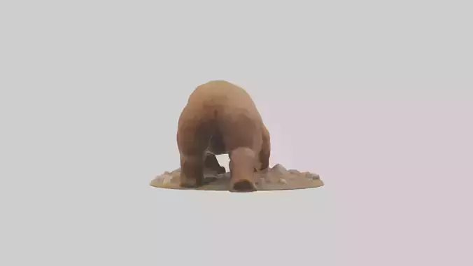 Brown Bear digging model