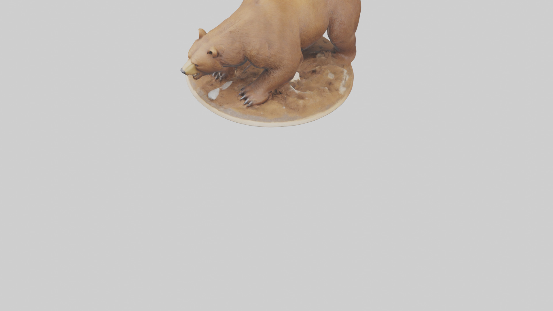 Brown Bear digging model Low-poly 3D model_5